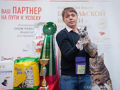 �������� �����  25-26 ������� 2017  4-107-IMG_8954.jpg