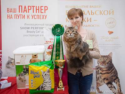 �������� �����  25-26 ������� 2017  5-61-IMG_8912.jpg