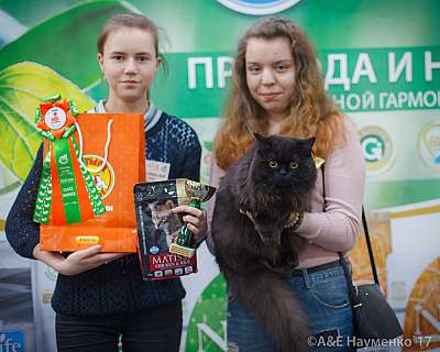 �������� �����  25-26 ������� 2017  3-68-IMG_5608.jpg