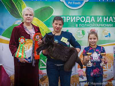 �������� �����  25-26 ������� 2017  1-21-IMG_4569.jpg