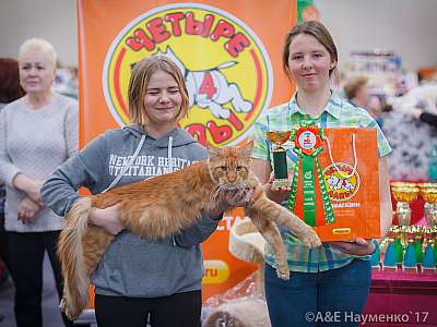 �������� �����  25-26 ������� 2017  3-11-IMG_4560.jpg