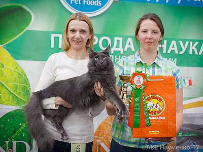 �������� �����  25-26 ������� 2017  4-5-IMG_4401.jpg