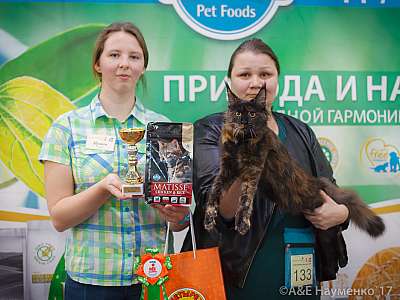 �������� �����  25-26 ������� 2017  5-133-IMG_4410.jpg