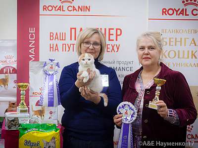 �������� �����  25-26 ������� 2017  1-110-IMG_8715.jpg