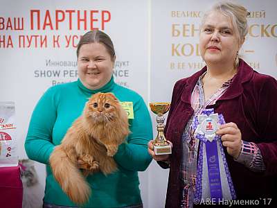 �������� �����  25-26 ������� 2017  2-45-IMG_8718.jpg