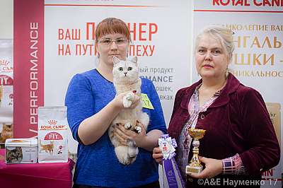 �������� �����  25-26 ������� 2017  3-117-IMG_8731.jpg