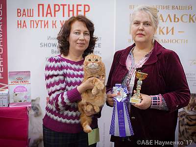 �������� �����  25-26 ������� 2017  4-127-IMG_8723.jpg