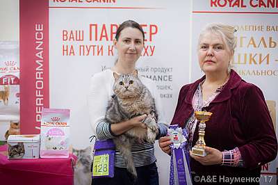 �������� �����  25-26 ������� 2017  7-128-IMG_8736.jpg