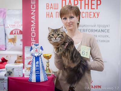 �������� �����  25-26 ������� 2017  3-61-IMG_7239.jpg