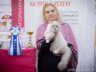 �������� �����  25-26 ������� 2017  4-52-IMG_7242.jpg