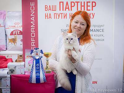 �������� �����  25-26 ������� 2017  6-152-IMG_7229.jpg