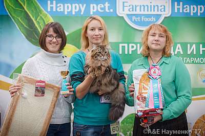 �������� �����  25-26 ������� 2017  1-60-IMG_4941.jpg