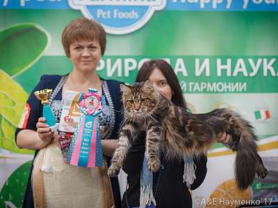 �������� �����  25-26 ������� 2017  10-26-.jpg