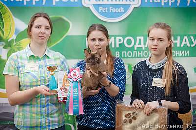 �������� �����  25-26 ������� 2017  3-93-IMG_4932.jpg