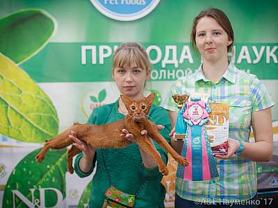 �������� �����  25-26 ������� 2017  6-135-IMG_4916.jpg