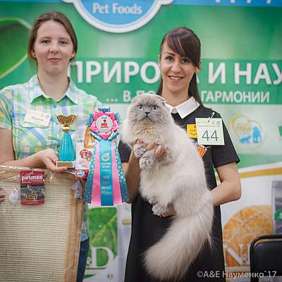 �������� �����  25-26 ������� 2017  8-44-IMG_4911.jpg