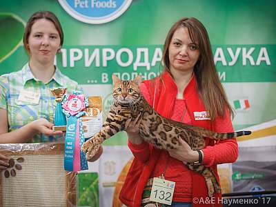 �������� �����  25-26 ������� 2017  9-132-IMG_4905.jpg