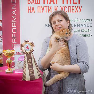 �������� �����  25-26 ������� 2017  10-116-IMG_7739.jpg