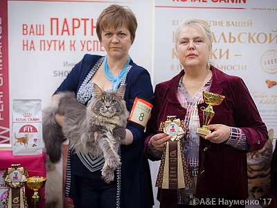 �������� �����  25-26 ������� 2017  2-8-IMG_7706.jpg