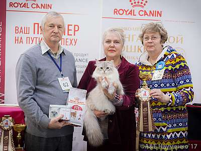 �������� �����  25-26 ������� 2017  3-62-IMG_7712.jpg