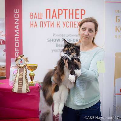 �������� �����  25-26 ������� 2017  4-14-IMG_7745.jpg