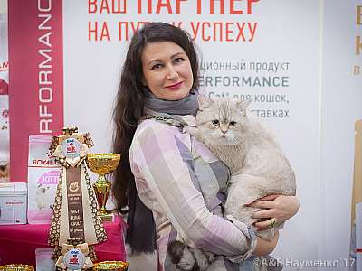 �������� �����  25-26 ������� 2017  5-83-IMG_7716.jpg