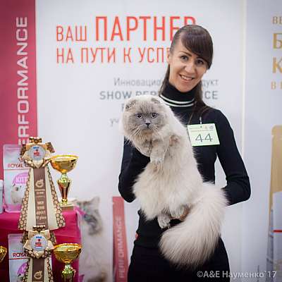 �������� �����  25-26 ������� 2017  6-44-IMG_7720.jpg