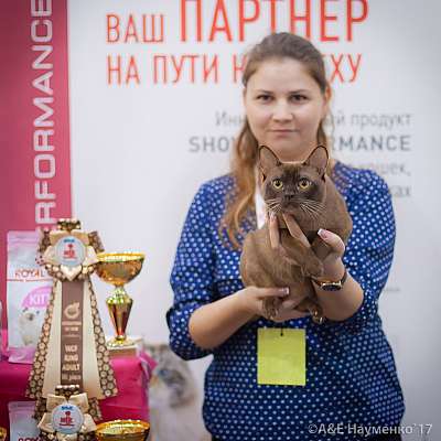 �������� �����  25-26 ������� 2017  7-93-IMG_7723.jpg