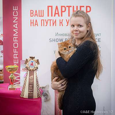 �������� �����  25-26 ������� 2017  8-119-IMG_7734.jpg