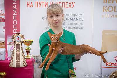 �������� �����  25-26 ������� 2017  9-135-IMG_7729.jpg