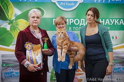 �������� �����  25-26 ������� 2017  1-10-IMG_5323.jpg