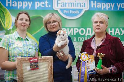 �������� �����  25-26 ������� 2017  2-110-IMG_5321.jpg