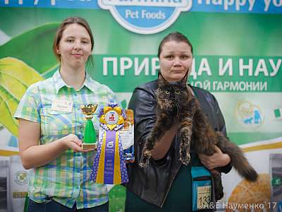 �������� �����  25-26 ������� 2017  4-133-IMG_5305.jpg