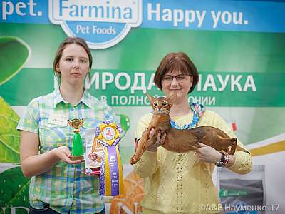 �������� �����  25-26 ������� 2017  6-88-IMG_5291.jpg