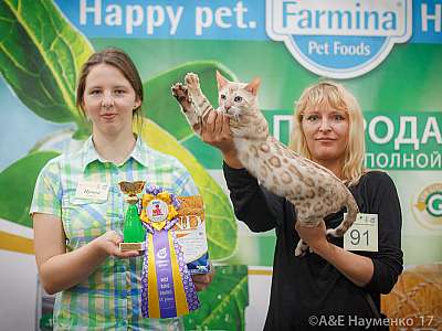 �������� �����  25-26 ������� 2017  9-91-IMG_5276.jpg