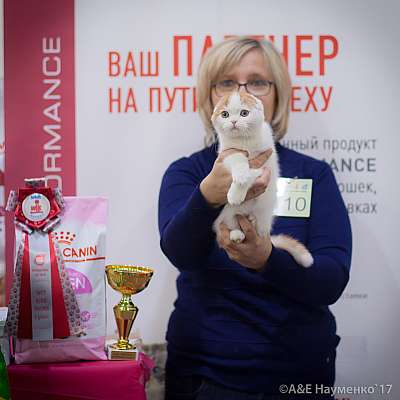 �������� �����  25-26 ������� 2017  1-110-IMG_8473.jpg