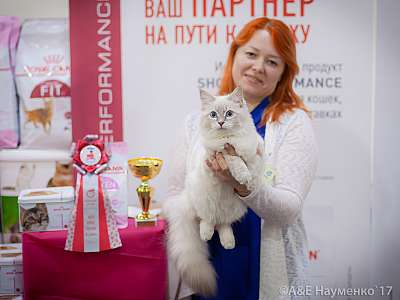 �������� �����  25-26 ������� 2017  2-152-IMG_8467.jpg