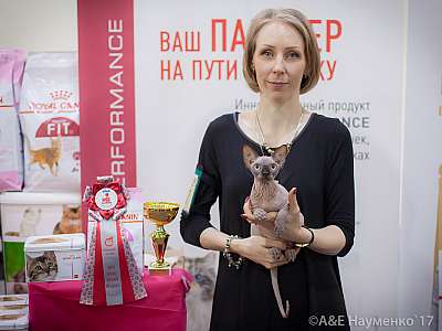 �������� �����  25-26 ������� 2017  3-97-IMG_8461.jpg