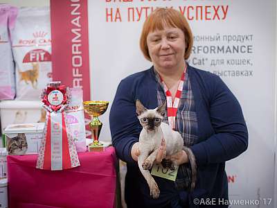 �������� �����  25-26 ������� 2017  4-102-IMG_8454.jpg