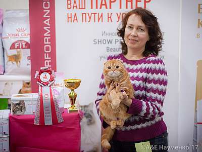 �������� �����  25-26 ������� 2017  5-127-IMG_8451.jpg