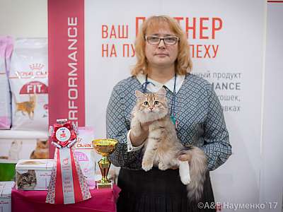 �������� �����  25-26 ������� 2017  6-64-IMG_8442.jpg