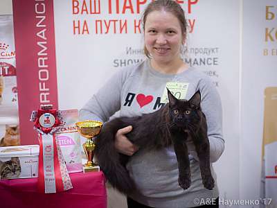 �������� �����  25-26 ������� 2017  7-20-IMG_8434.jpg