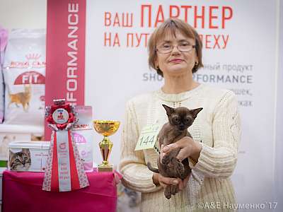 �������� �����  25-26 ������� 2017  8-144-IMG_8431.jpg