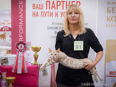 �������� �����  25-26 ������� 2017  9-91-IMG_8428.jpg