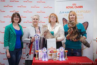 �������� ����� 18-19 �����