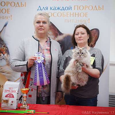 �������� ����� 18-19 �����