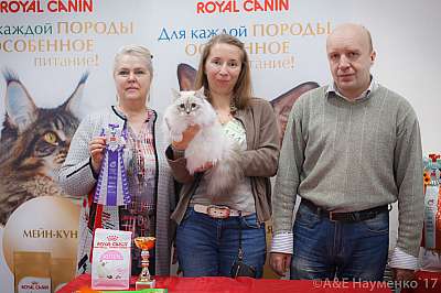 �������� ����� 18-19 �����