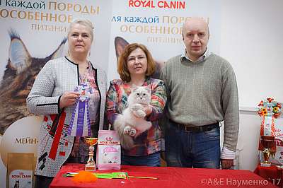 �������� ����� 18-19 �����