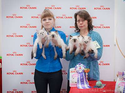 �������� ����� 18-19 �����