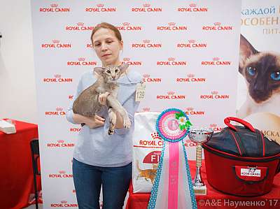 �������� ����� 18-19 �����